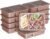 Bentgo 20-Piece Lightweight, Durable, Reusable BPA-Free 2-Compartment Containers – Microwave, Freezer, Dishwasher Safe – Rose Gold